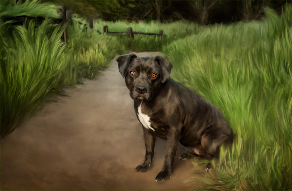pit bull painting