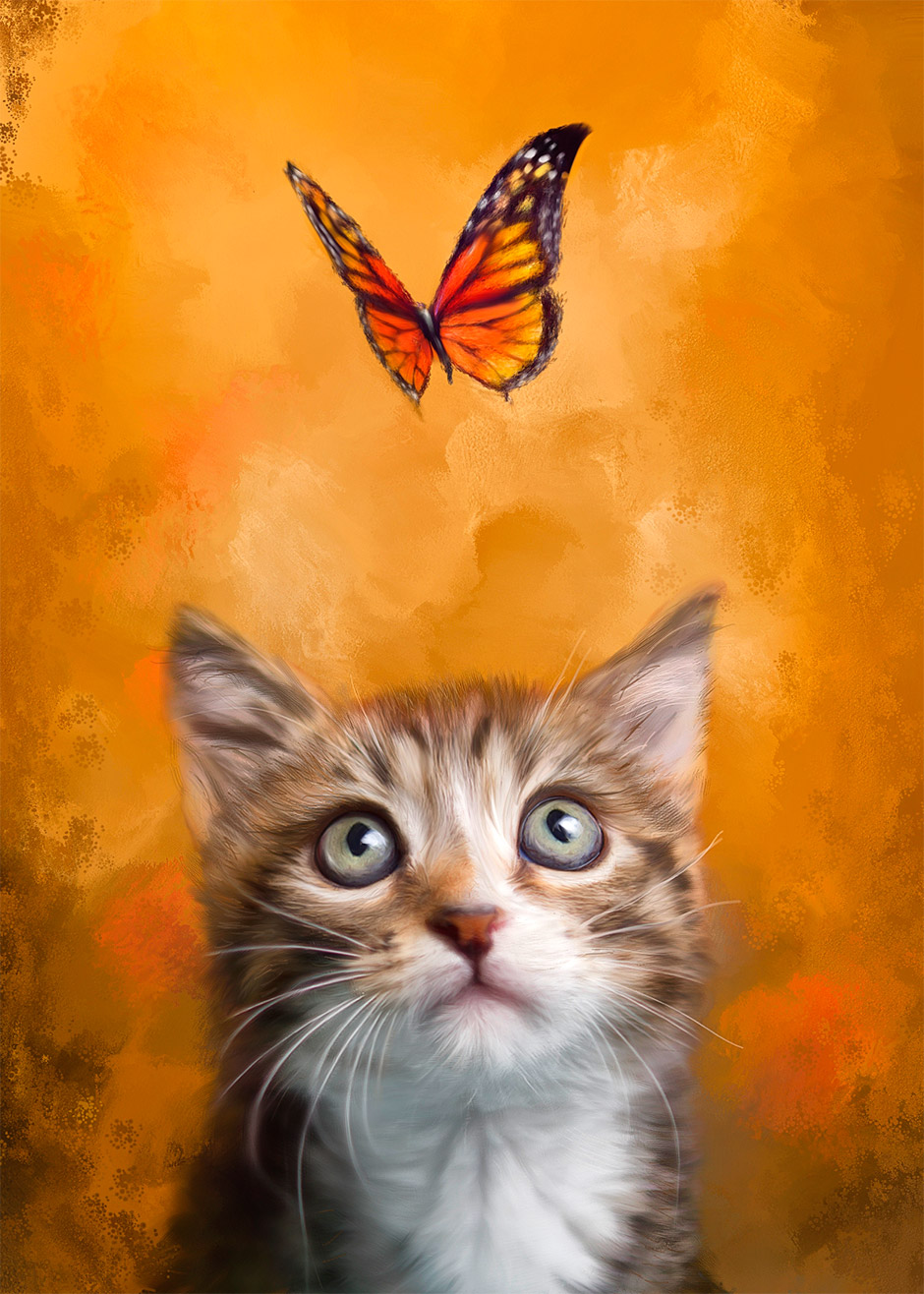 kitten butterfly painting
